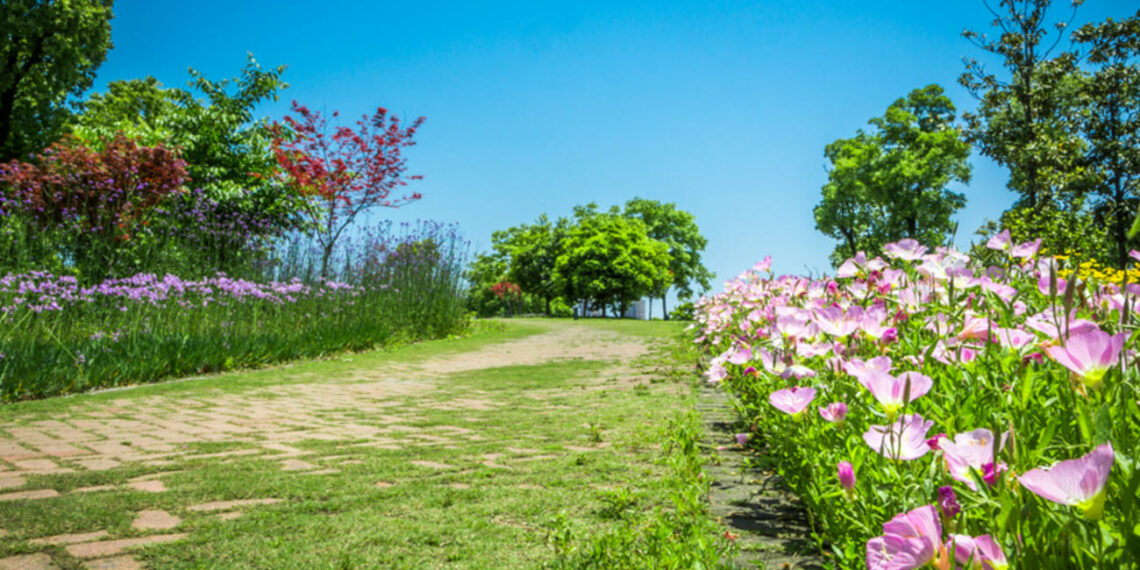 Confira cinco ideias para cuidar e renovar o seu jardim