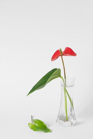 3 plantas para cultivar em agua