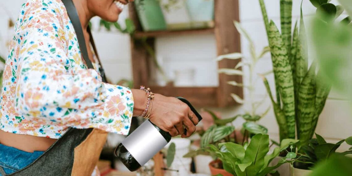 5 DICAS para CUIDAR das PLANTAS durante as FÉRIAS DE VERÃO