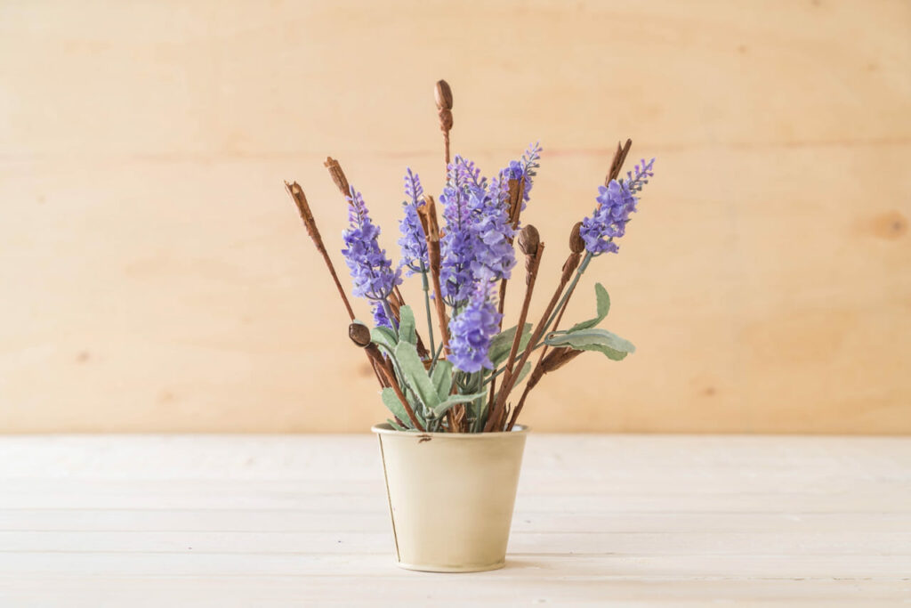 Essas 6 Plantas Têm o Poder de Melhorar Seu Sono — E Ficam Lindas no Quarto
