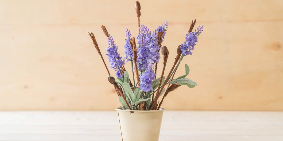 Aprenda a cultivar ALECRIM e LAVANDA em VASO.