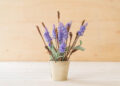 Aprenda a cultivar ALECRIM e LAVANDA em VASO.