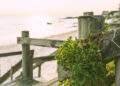 praia