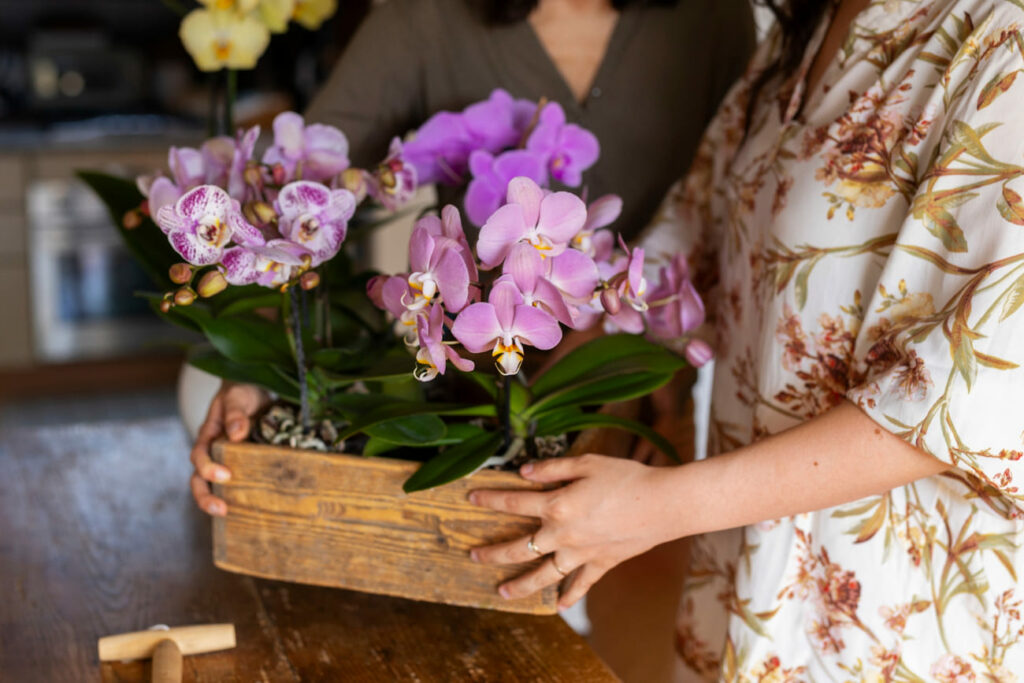 Flores para Plantar em Fevereiro: Beleza e Cores para Seu Jardim