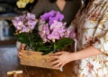Orquídeas encantam Guarapuava em mostra que transforma flores em experiências