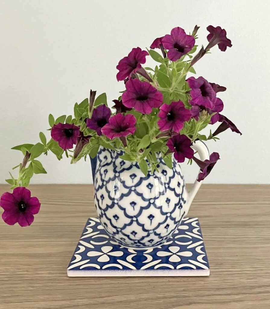 Qual é o significado da flor petúnia e como cultivá-la em vasos dentro de casa?