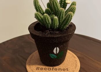 Tecnologia Sustentável: Jovem Transforma Borra de Café em Produtos Biodegradáveis
