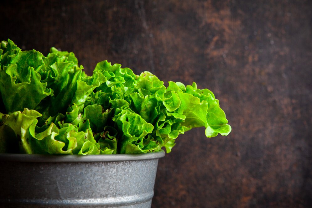 6 hortaliças para cultivar em fevereiro.
