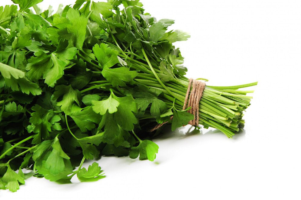 O que plantar em fevereiro: ervas aromáticas ideais para a época