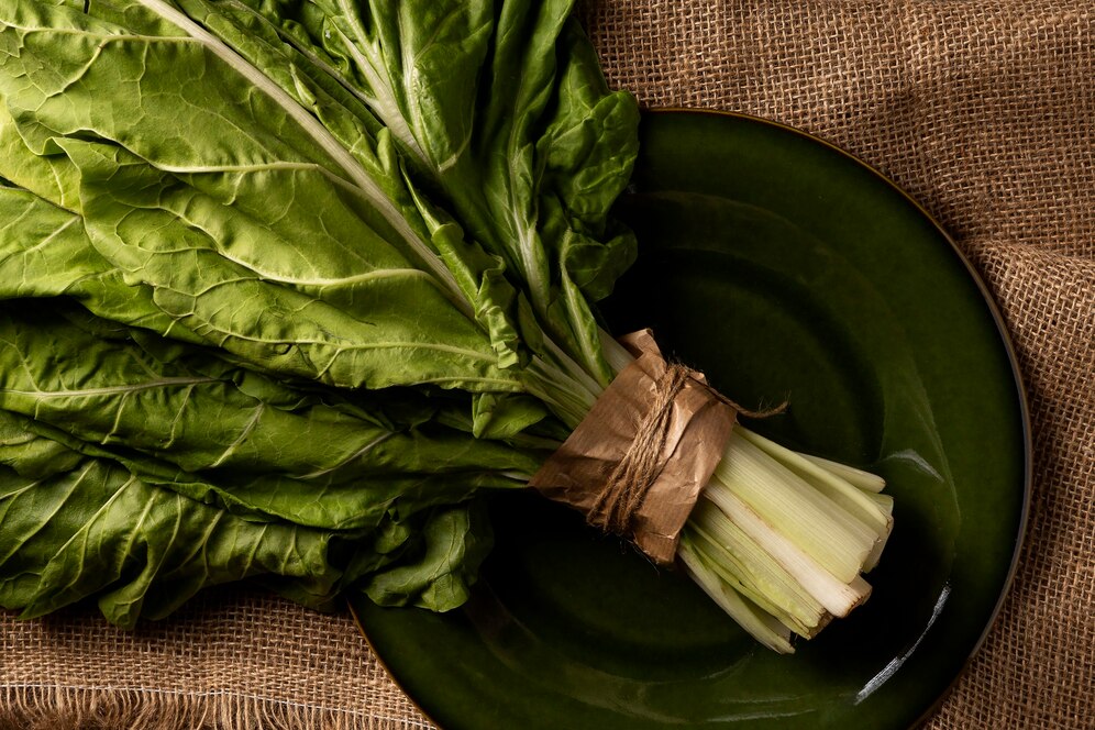 6 hortaliças para cultivar em fevereiro.