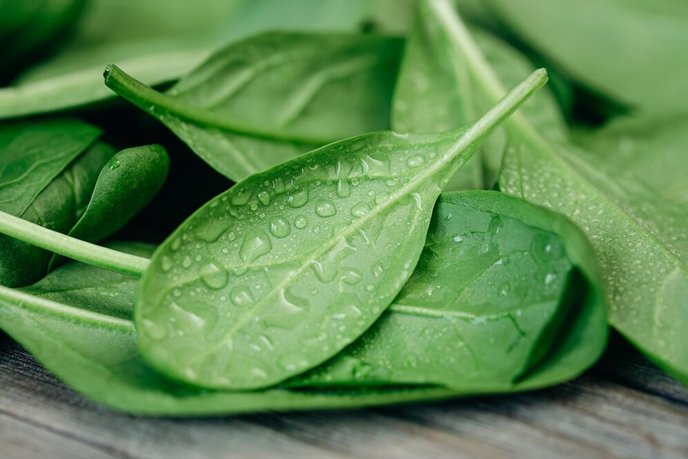 6 hortaliças para cultivar em fevereiro.