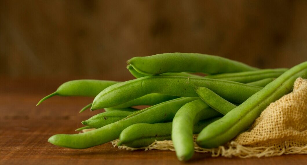 Curso gratuito ensina técnicas para o cultivo do feijão-caupi