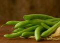 Curso gratuito ensina técnicas para o cultivo do feijão-caupi