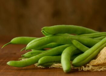 Curso gratuito ensina técnicas para o cultivo do feijão-caupi