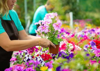Flores para Plantar em Fevereiro: Beleza e Cores para Seu Jardim
