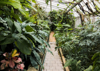 jardim tropical