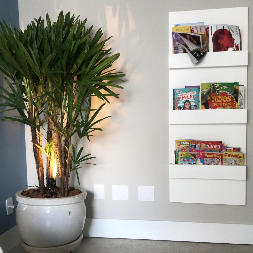 Essas 6 Plantas Têm o Poder de Melhorar Seu Sono — E Ficam Lindas no Quarto