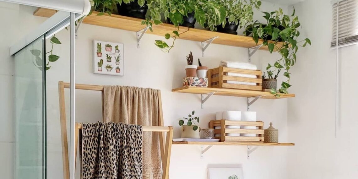 Plantas para Banheiro: Beleza, Frescor e Praticidade no Seu Espaço