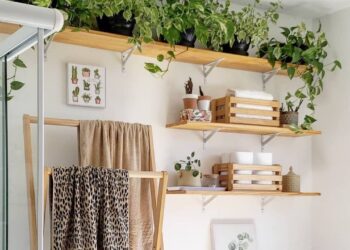 Plantas para Banheiro: Beleza, Frescor e Praticidade no Seu Espaço
