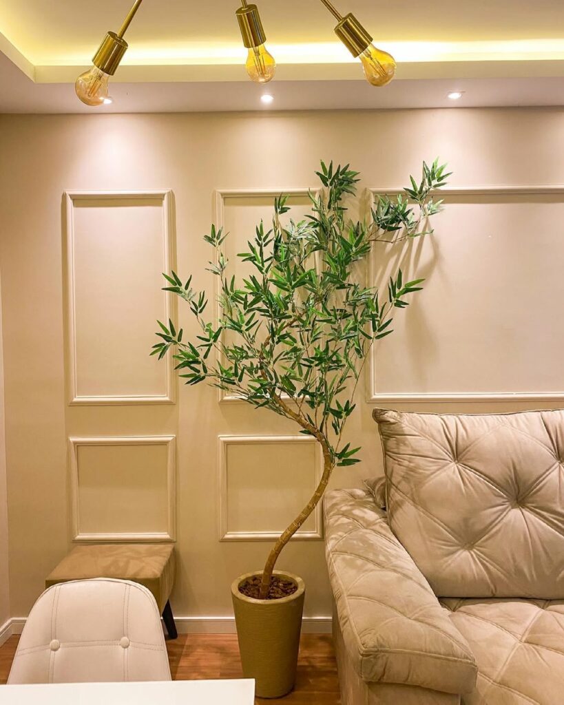 Bambu-mossô: como cultivar a elegante planta ornamental de origem chinesa