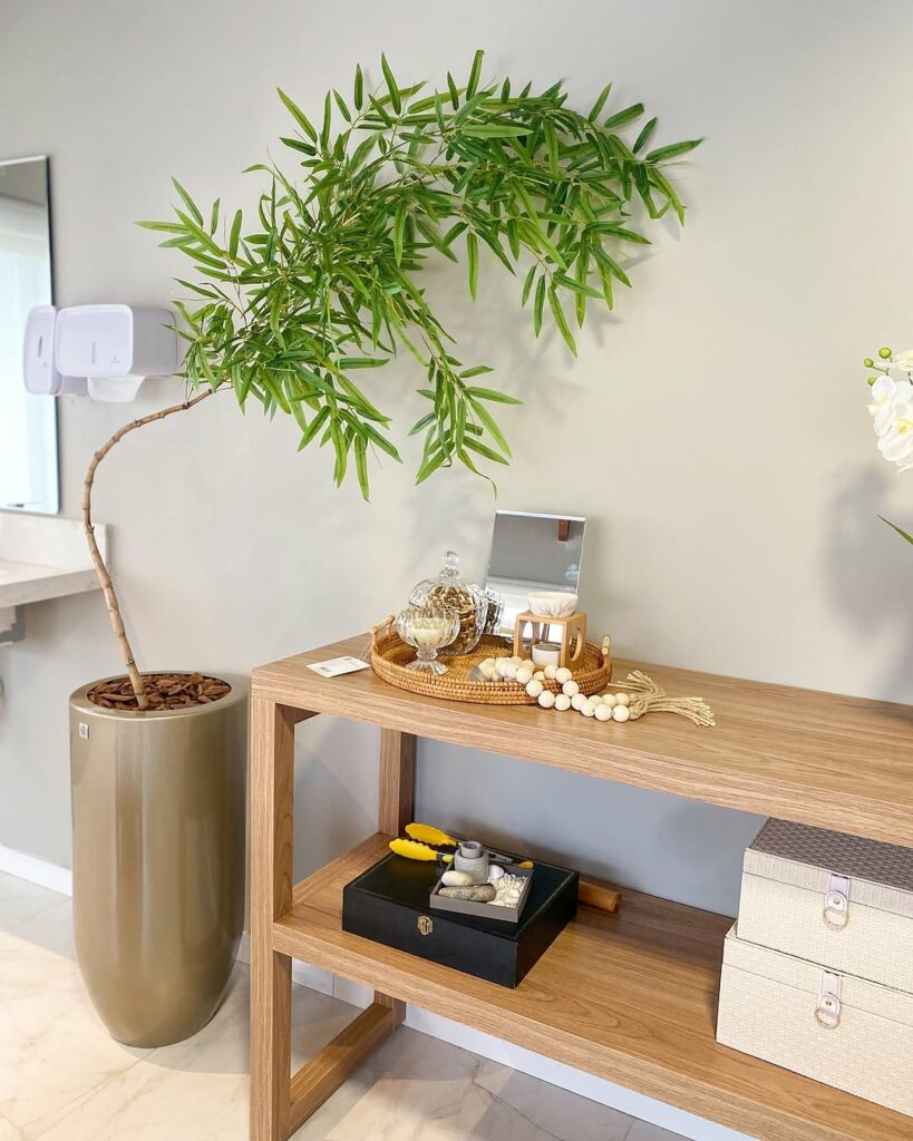 Bambu-mossô: como cultivar a elegante planta ornamental de origem chinesa
