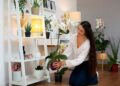 5 Flores que "vão pra frente" na Sombra