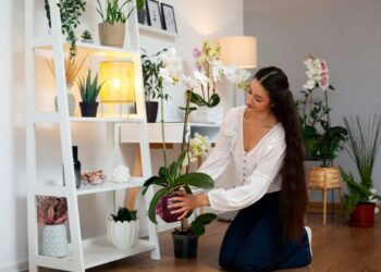 5 Flores que "vão pra frente" na Sombra