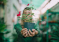 Frio? Elas agradecem! Veja plantas que crescem melhor quando a temperatura cai