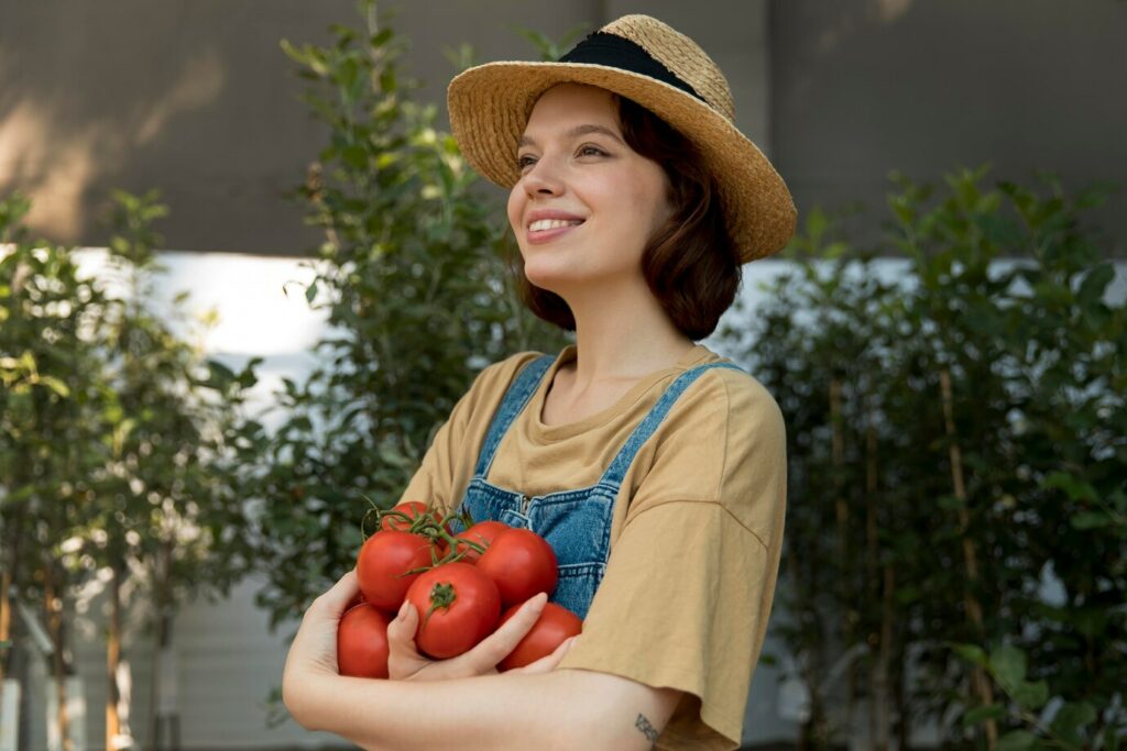 Como plantar tomates em casa: guia prático para cultivo fácil e saboroso