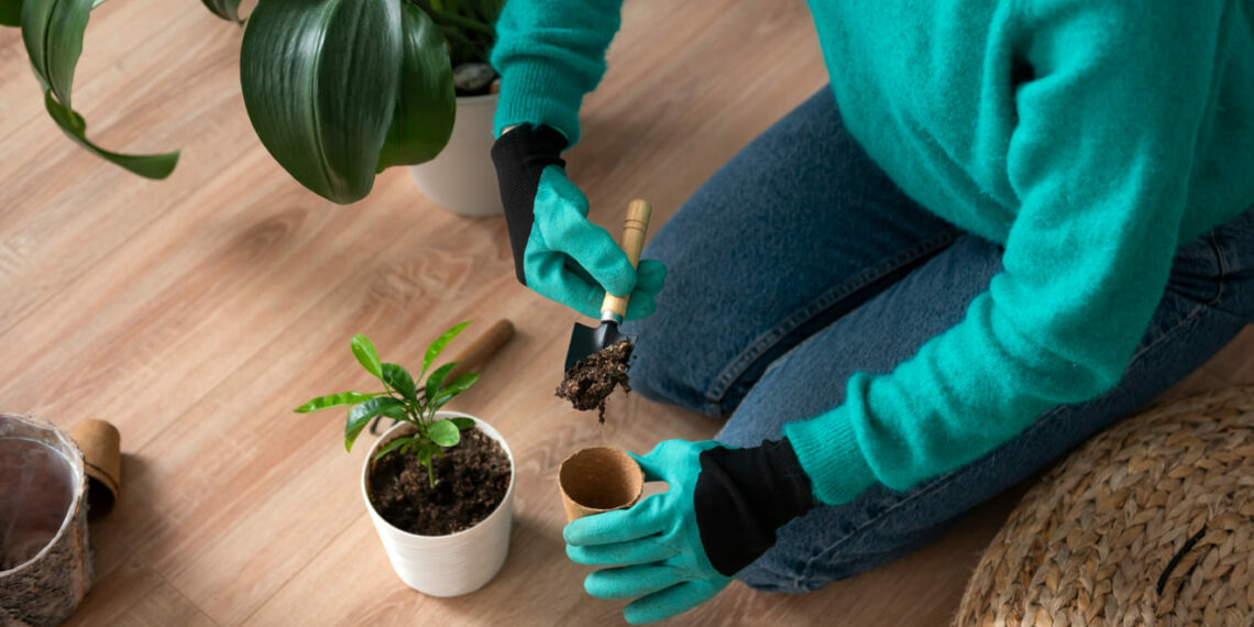 Adubação no outono: como nutrir suas plantas para enfrentar o inverno e florescer na primavera