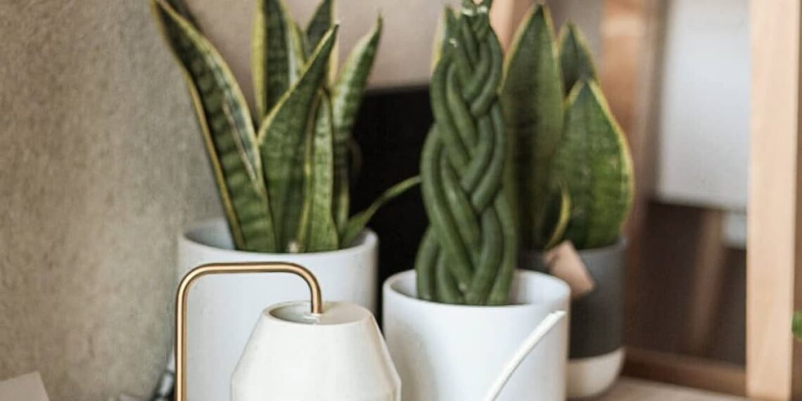joanasilva.homediy