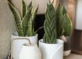 joanasilva.homediy
