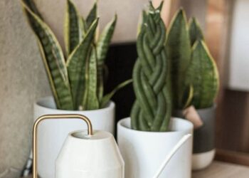 joanasilva.homediy