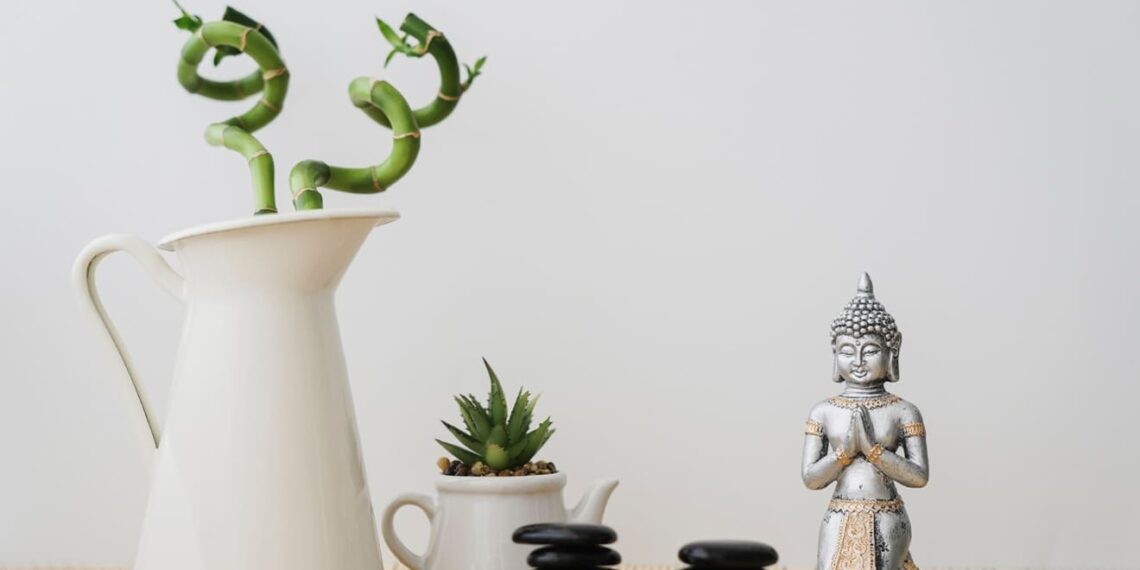 Conheça 2 plantas que afastam a negatividade, atraem equilíbrio e abundância, segundo o Feng Shui