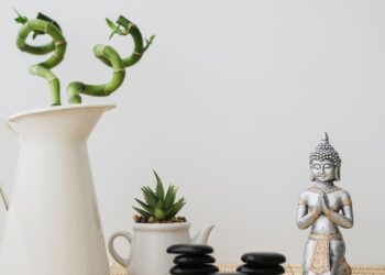 Conheça 2 plantas que afastam a negatividade, atraem equilíbrio e abundância, segundo o Feng Shui