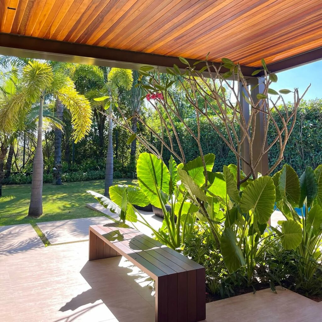 Jardim tropical minimalista: como criar ambientes naturais com elegância e simplicidade