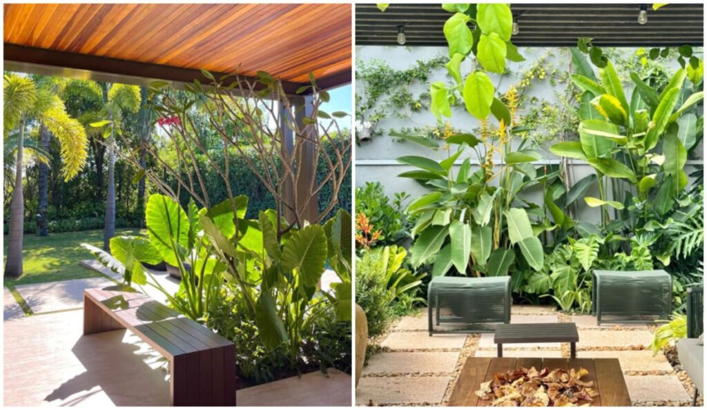 Jardim tropical minimalista: como criar ambientes naturais com elegância e simplicidade
