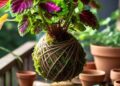 O segredo das kokedamas: arte verde que flutua