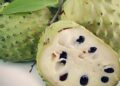 cherimoia
