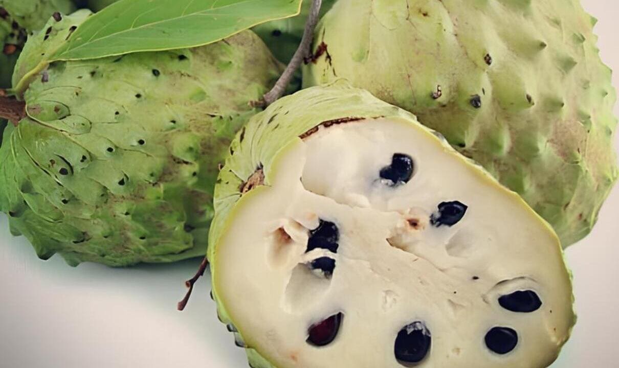 cherimoia