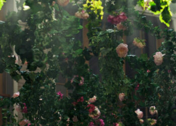 cropped-jardim-inverno.jpg