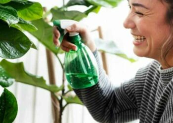 Plantas com nomes curiosos