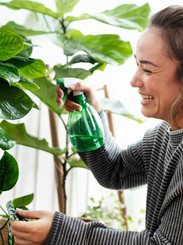 Plantas com nomes curiosos