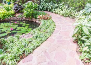 Espécies invasoras colocam o Brasil em alerta ambiental