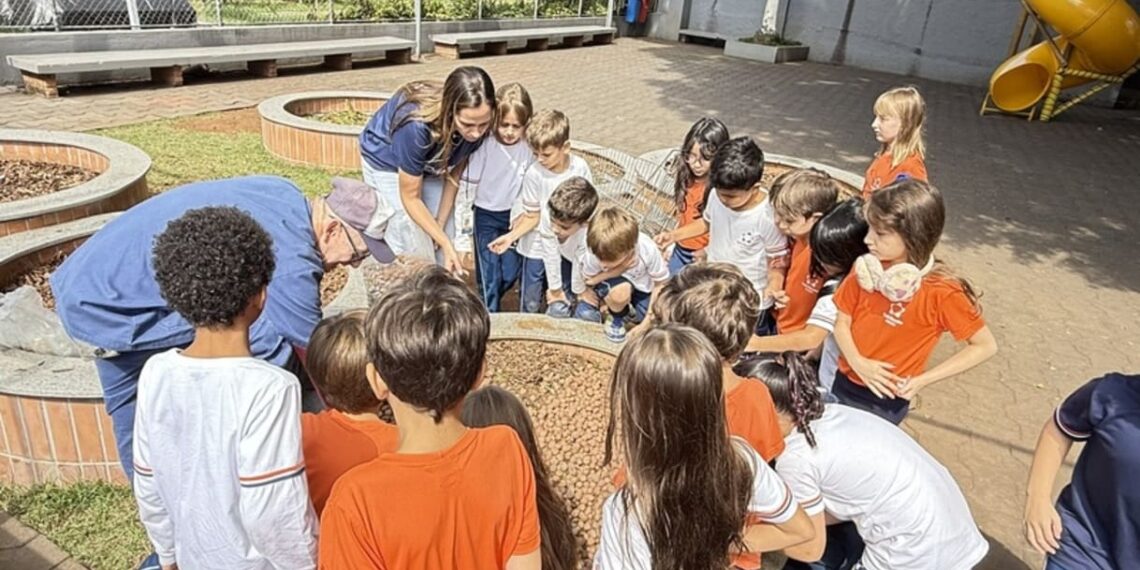 Proposta é estimular os cinco sentidos dos estudantes de forma integrada, valorizando a percepção e a sensibilidade
