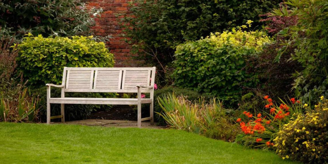 5 plantas para jardim externo que fogem do óbvio e são fáceis de cuidar.