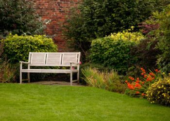 5 plantas para jardim externo que fogem do óbvio e são fáceis de cuidar.