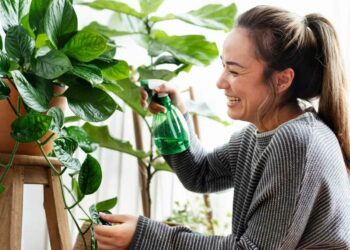 Plantas com nomes curiosos