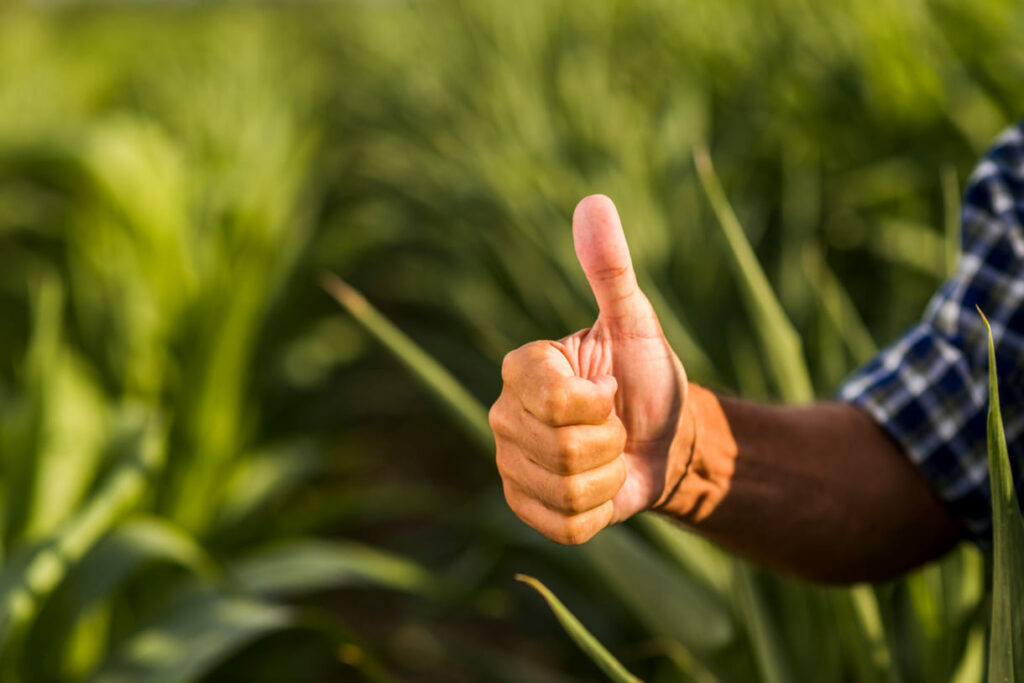 Bioinsumos ganham protagonismo e movimentam R$ 4,35 bilhões no Brasil
