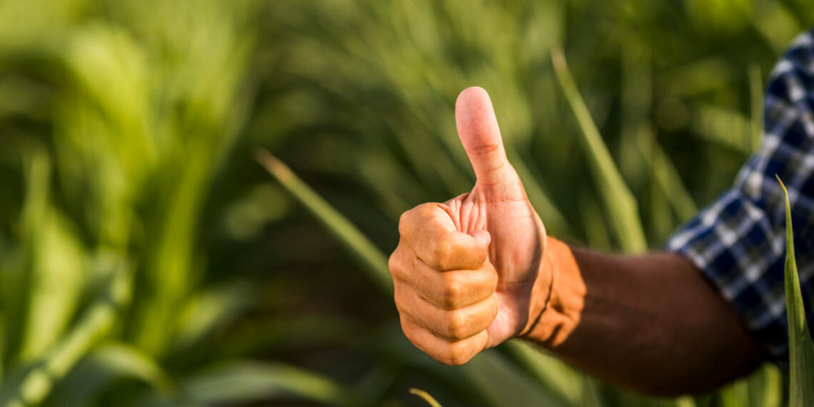 Bioinsumos ganham protagonismo e movimentam R$ 4,35 bilhões no Brasil